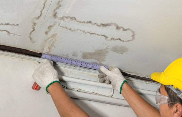 Reliable Mold Remediation contractor in Benson, NC by Local Water Damage Repair